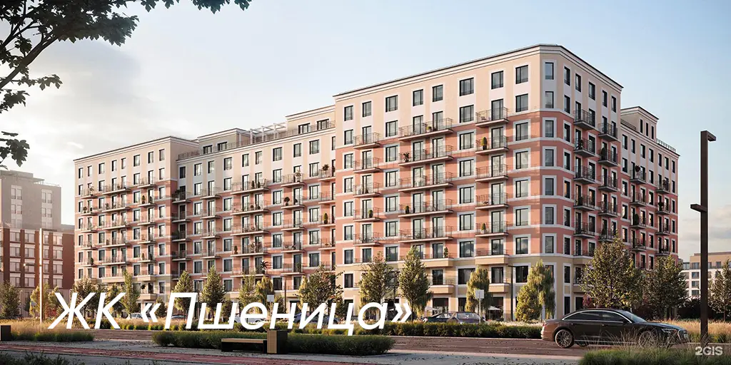 ЖК Пшеница